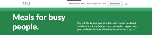 selecting Plans and Packages at the main Calo page